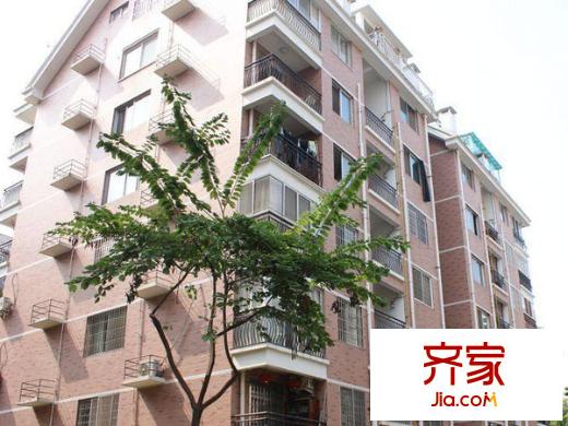 金山桔園二期嘉園外景圖 