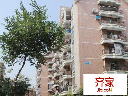 金山桔園二期嘉園外景圖 