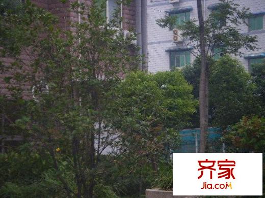 芳卉園外景圖小區(qū)相關(guān)圖_8
