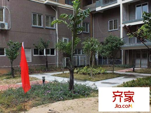 臨江新天地福江苑外景圖 
