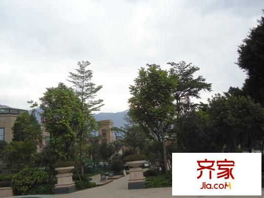 恒宇國(guó)際公園外景圖綠化覆蓋20130926