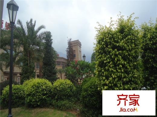 恒宇國(guó)際公園外景圖項(xiàng)目綠化效果（20130717）