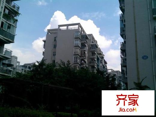 濱江麗景三期美麗園外景圖濱江麗景三期?美麗園 