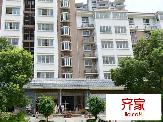 中美小區(qū)外景圖1