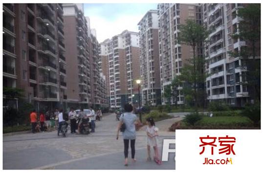 中美小區(qū)外景圖4