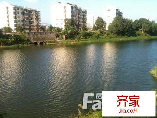 中美小區(qū)外景圖5