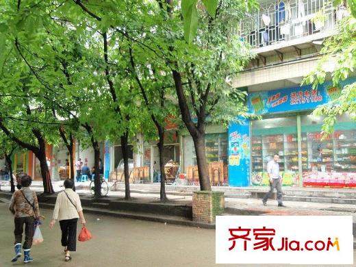 洋中花園文景苑配套圖周邊（20100520）