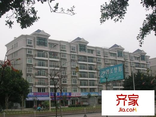 興元星辰外景圖 