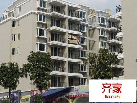 興元星辰外景圖 