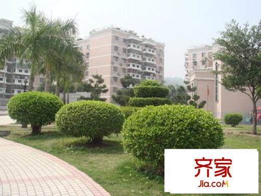 金城小區(qū)外景圖 