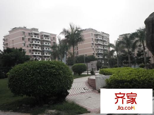 金城小區(qū)外景圖 