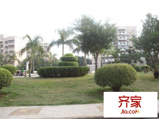 金城小區(qū)外景圖 