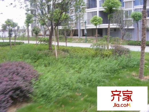 團(tuán)結(jié)佳興園（還建房）