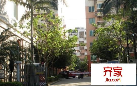 金山碧水一期風(fēng)荷苑外景圖 