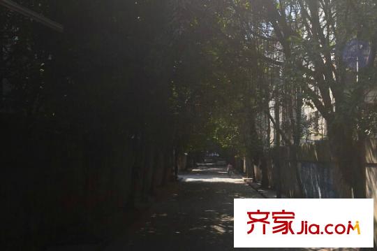 楊南新城配套圖周邊配套 街道