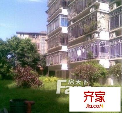 楊南新城外景圖 