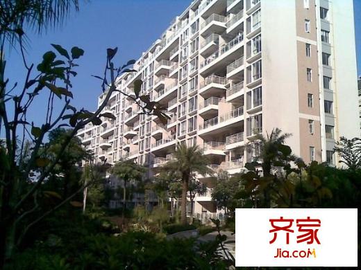 金山桔園一期鑫苑外景圖 