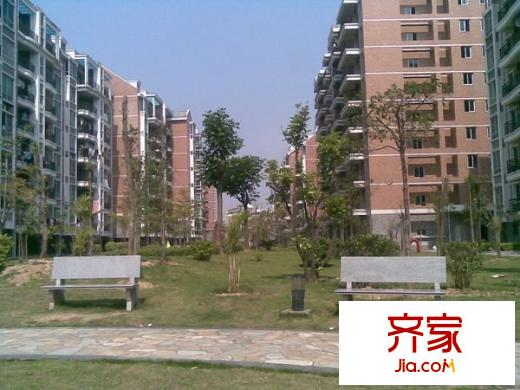 金山桔園一期吉苑外景圖 