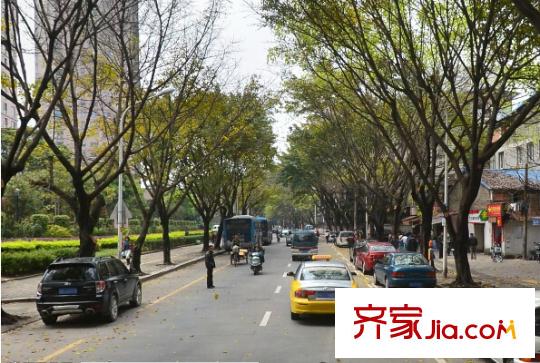 金鉆世家配套圖周邊配套 街道