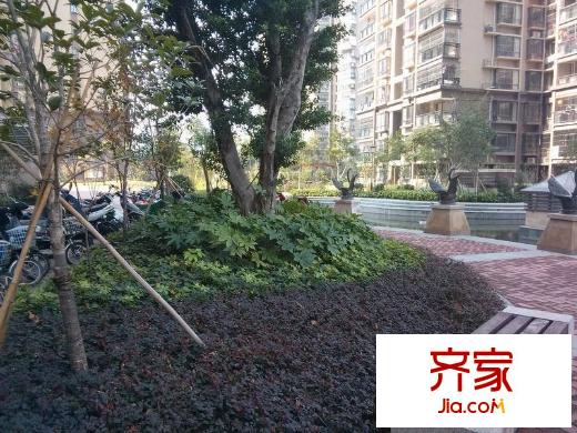 紅星苑外景圖 