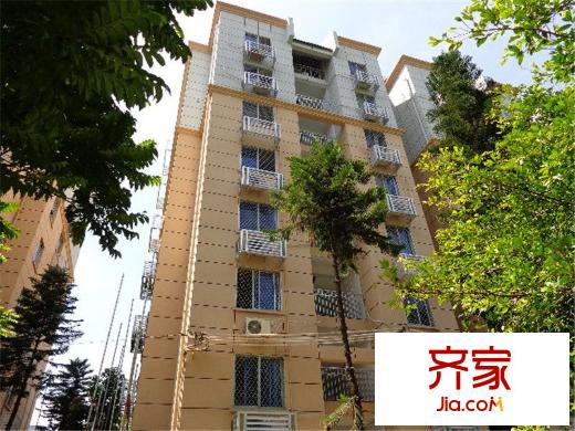 市直湖前外景圖 