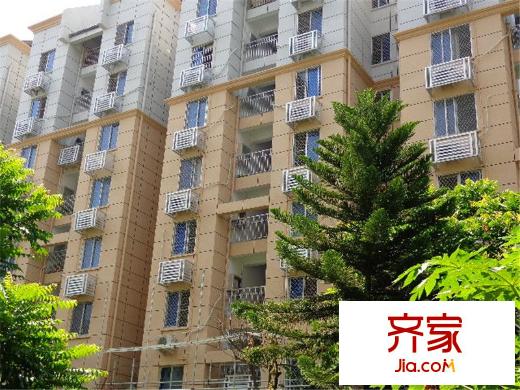 市直湖前外景圖 