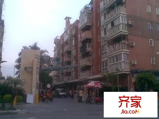 金色家園