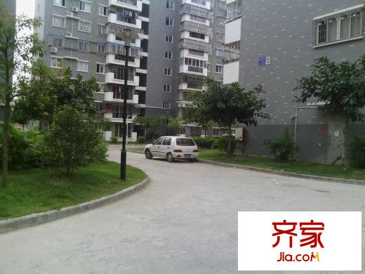 金閩小區(qū)外景圖 