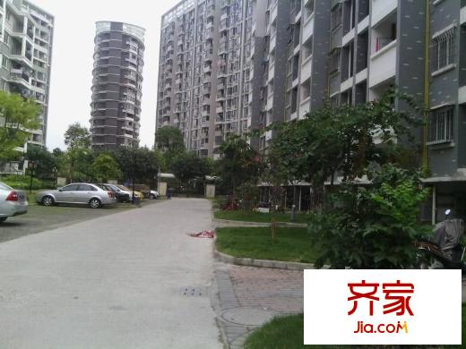 金閩小區(qū)外景圖 