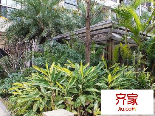棕櫚泉國際花園外景圖 
