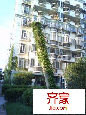玫瑰東苑外景圖 