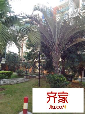 東方紐約外景圖 