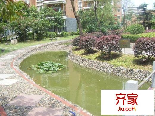 陽(yáng)城景園外景圖小區(qū)相關(guān)圖_5