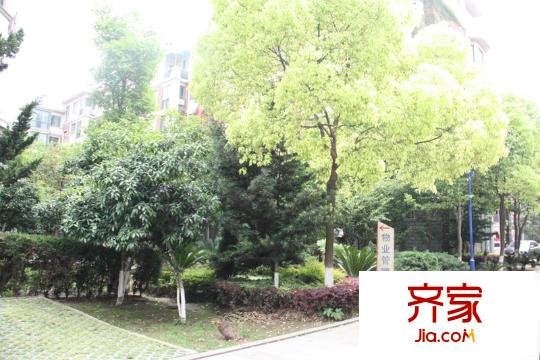 新地東方華府外景圖  