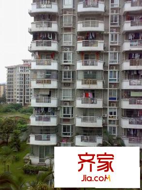 中茵花城