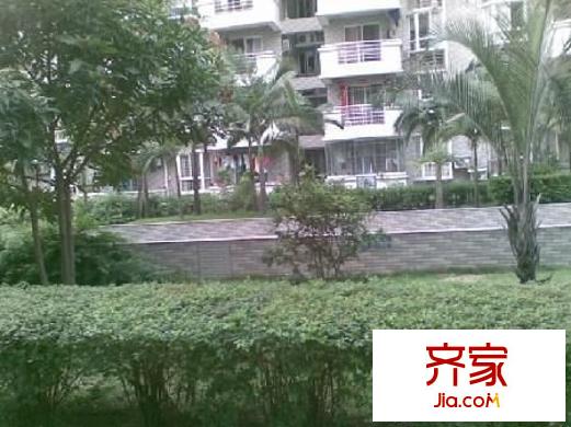 中茵花城外景圖 