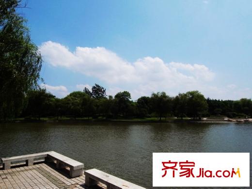 武漢名爵配套圖周邊湯湖岸邊