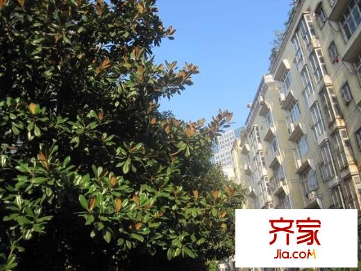 建信小區(qū)外景圖 