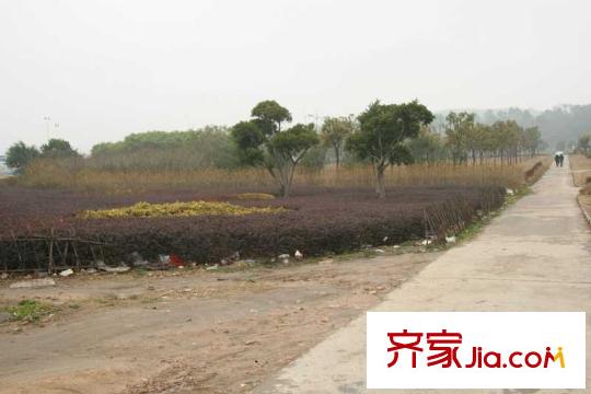 閩都星錦灣配套圖周邊公園（2011.2.22）