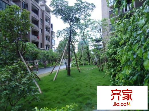 金建