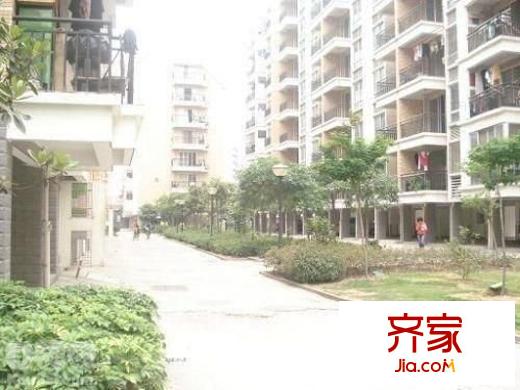 金建小區(qū)外景圖 