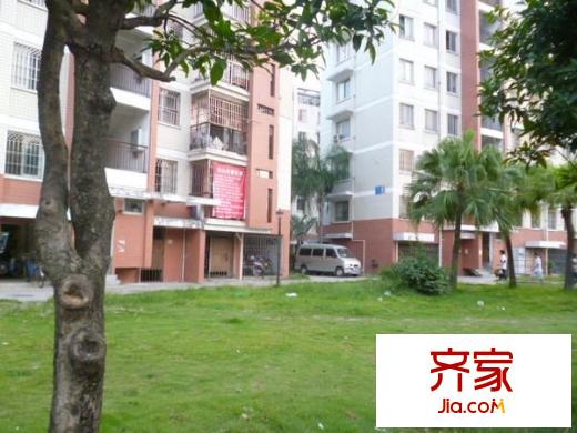 金建小區(qū)外景圖 