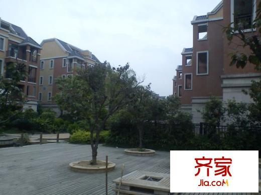 大唐世家動力火車外景圖 