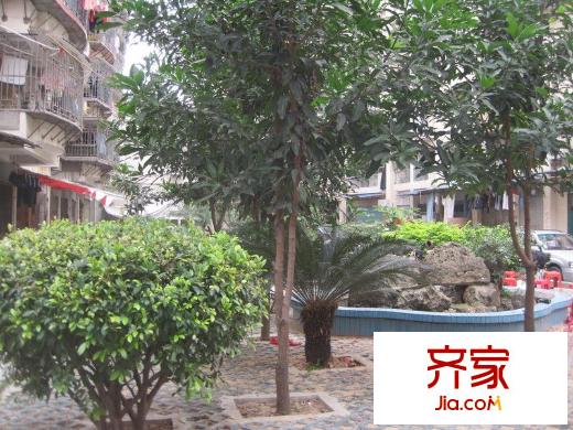 河下小區(qū)外景圖 