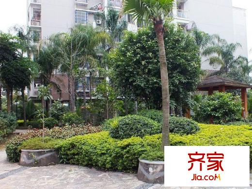 富貴天成外景圖 