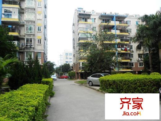 武夷綠洲外景圖 