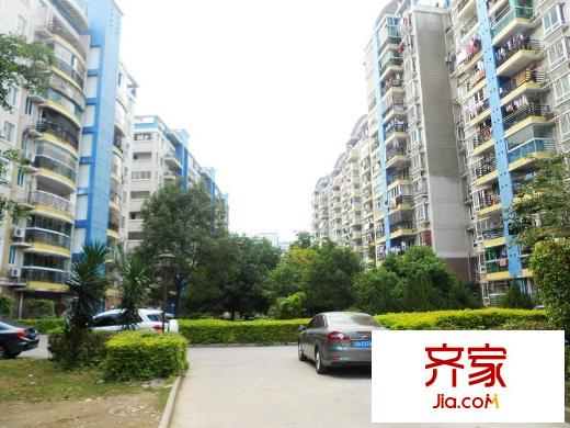 武夷綠洲外景圖 