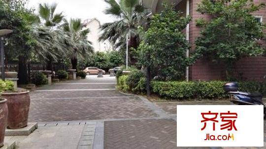 武夷綠洲外景圖 