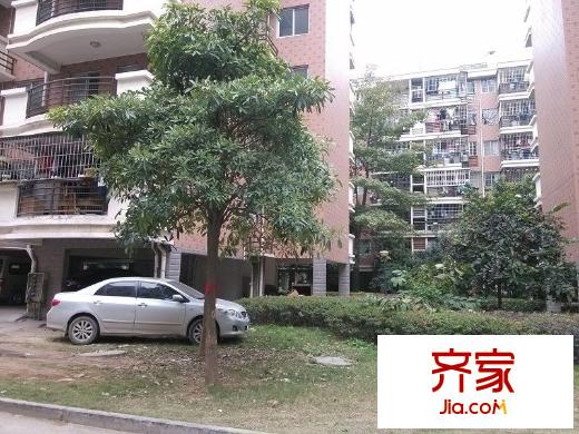 浦上小區(qū)外景圖 