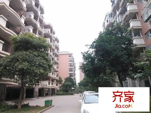 浦上小區(qū)外景圖 